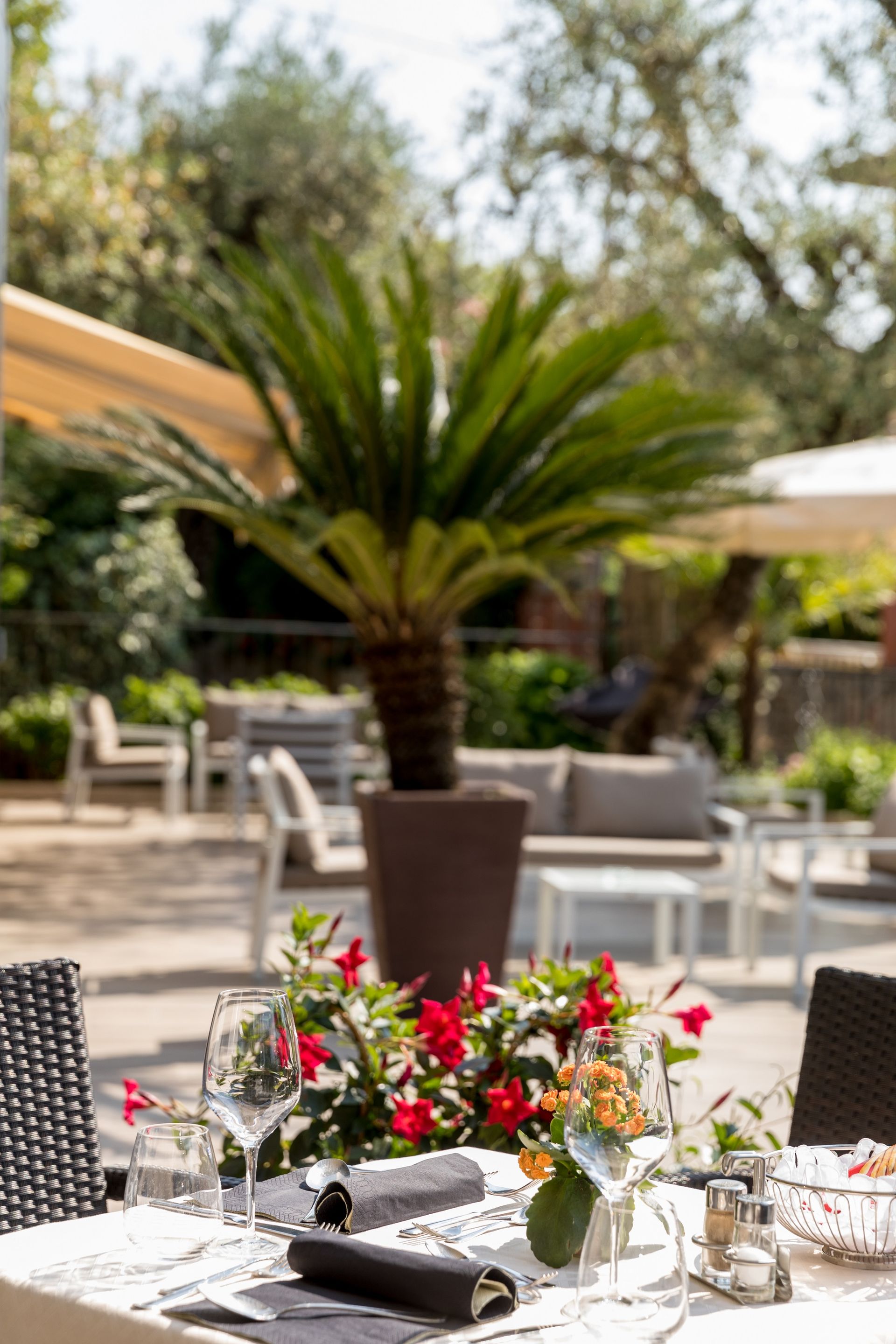 Outdoor café table with a colorful floral centerpiece and potted palm in the background