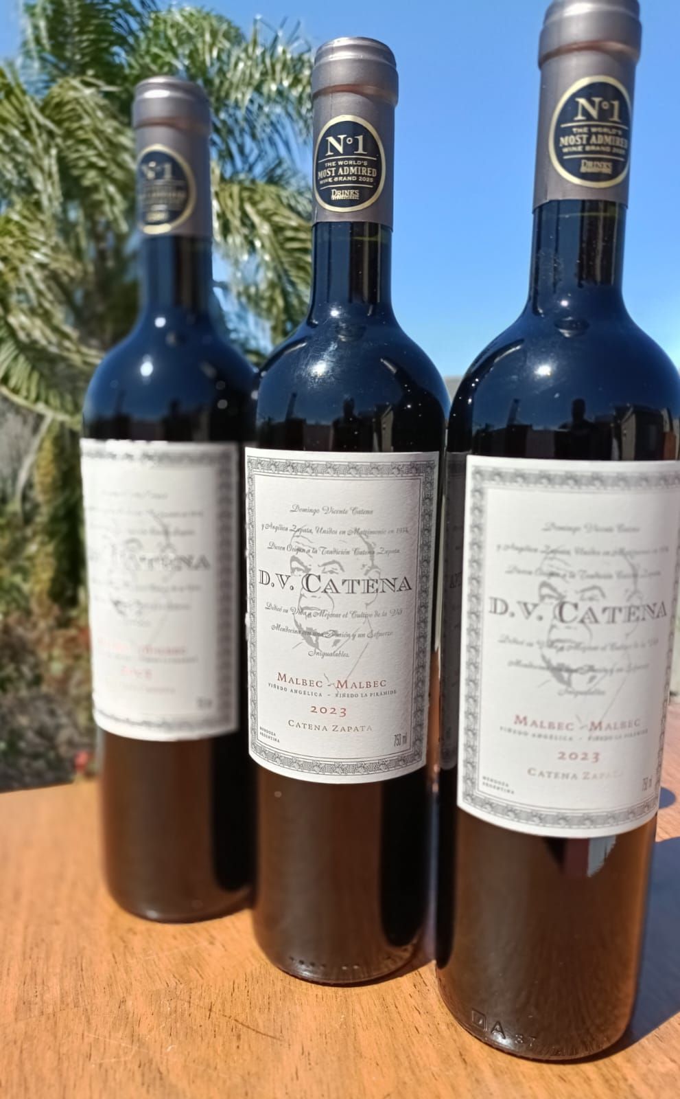 Tres botellas de vino tinto oscuro con etiquetas blancas, expuestas al sol al aire libre.