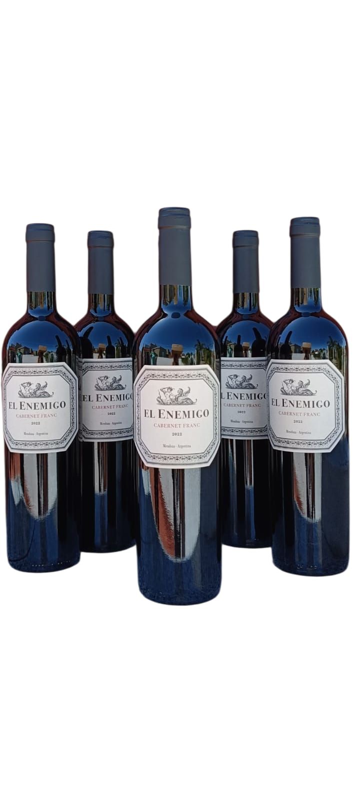 Cinco botellas de vino oscuro con etiquetas blancas dispuestas en fila sobre un fondo blanco.