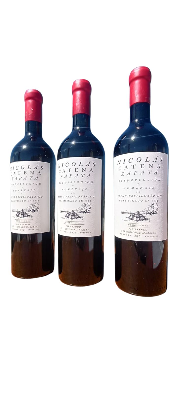 Tres botellas de vino oscuro con tapones de papel de aluminio rojo sobre un fondo blanco.