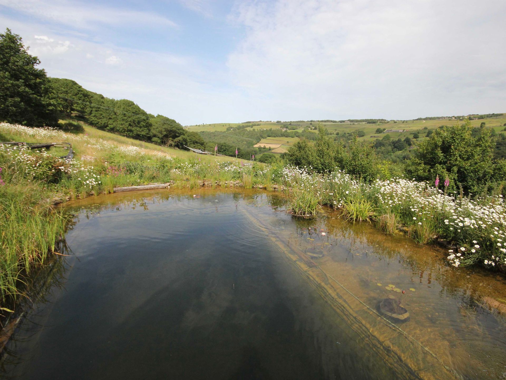 Clear natural pool with spring flowers