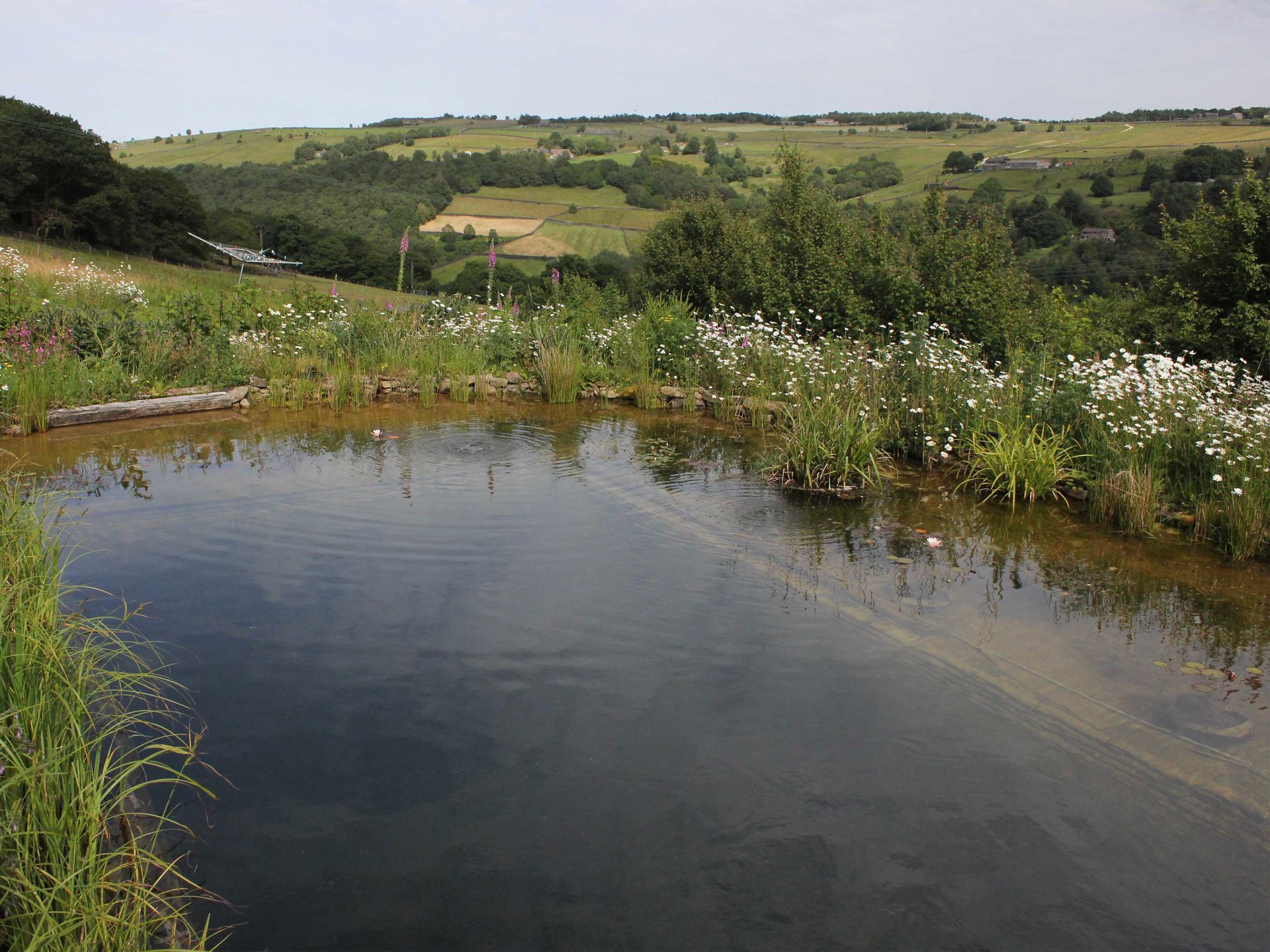 Natural pool, looking out onto valley