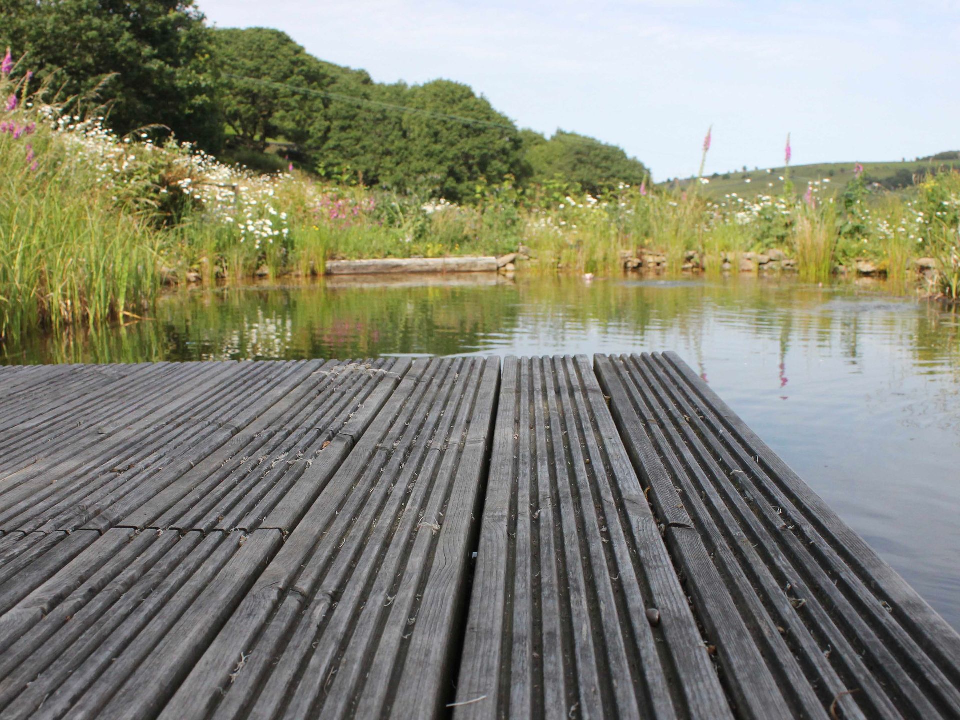 Natural pool with wooden platform