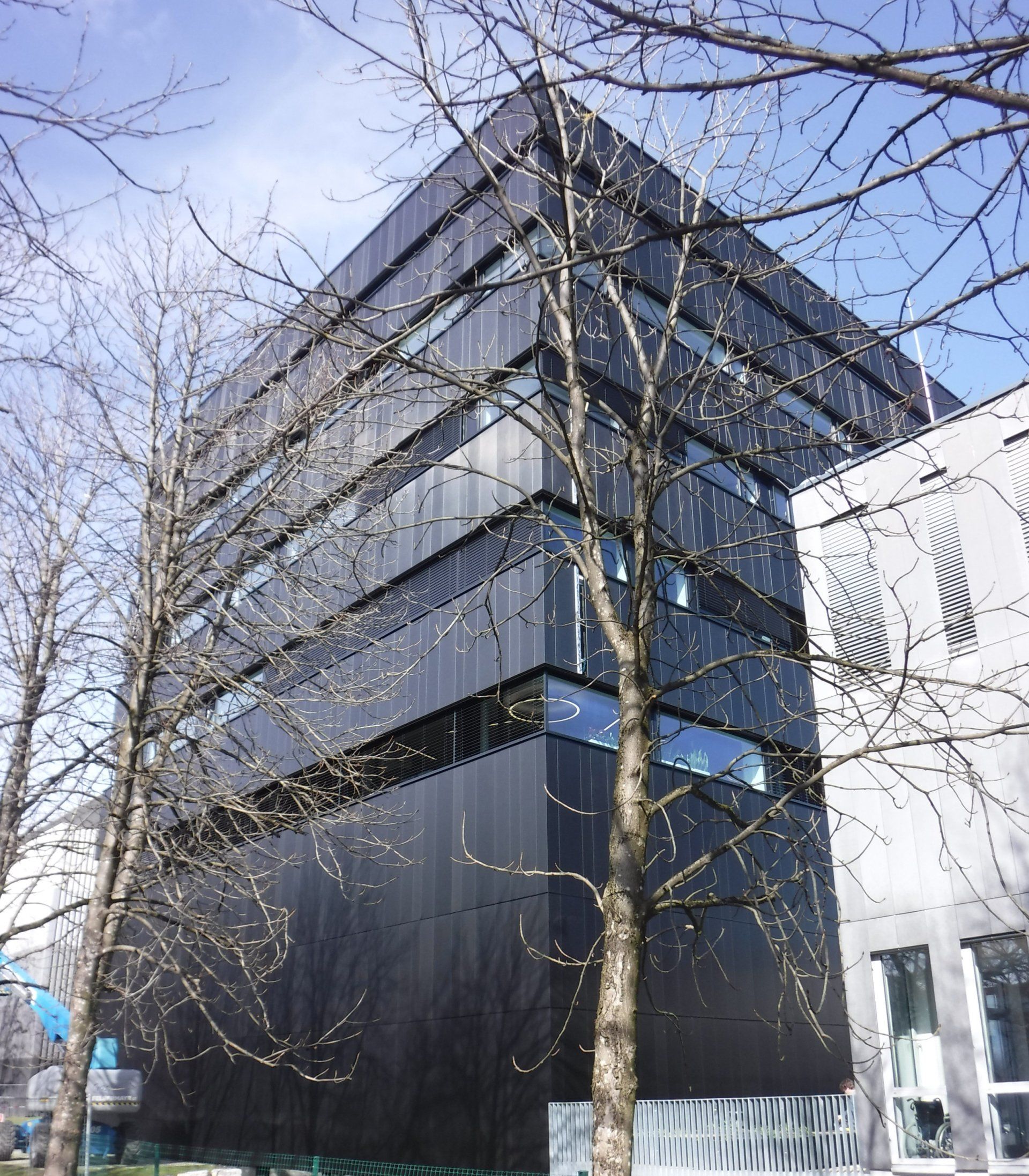 BCC 1