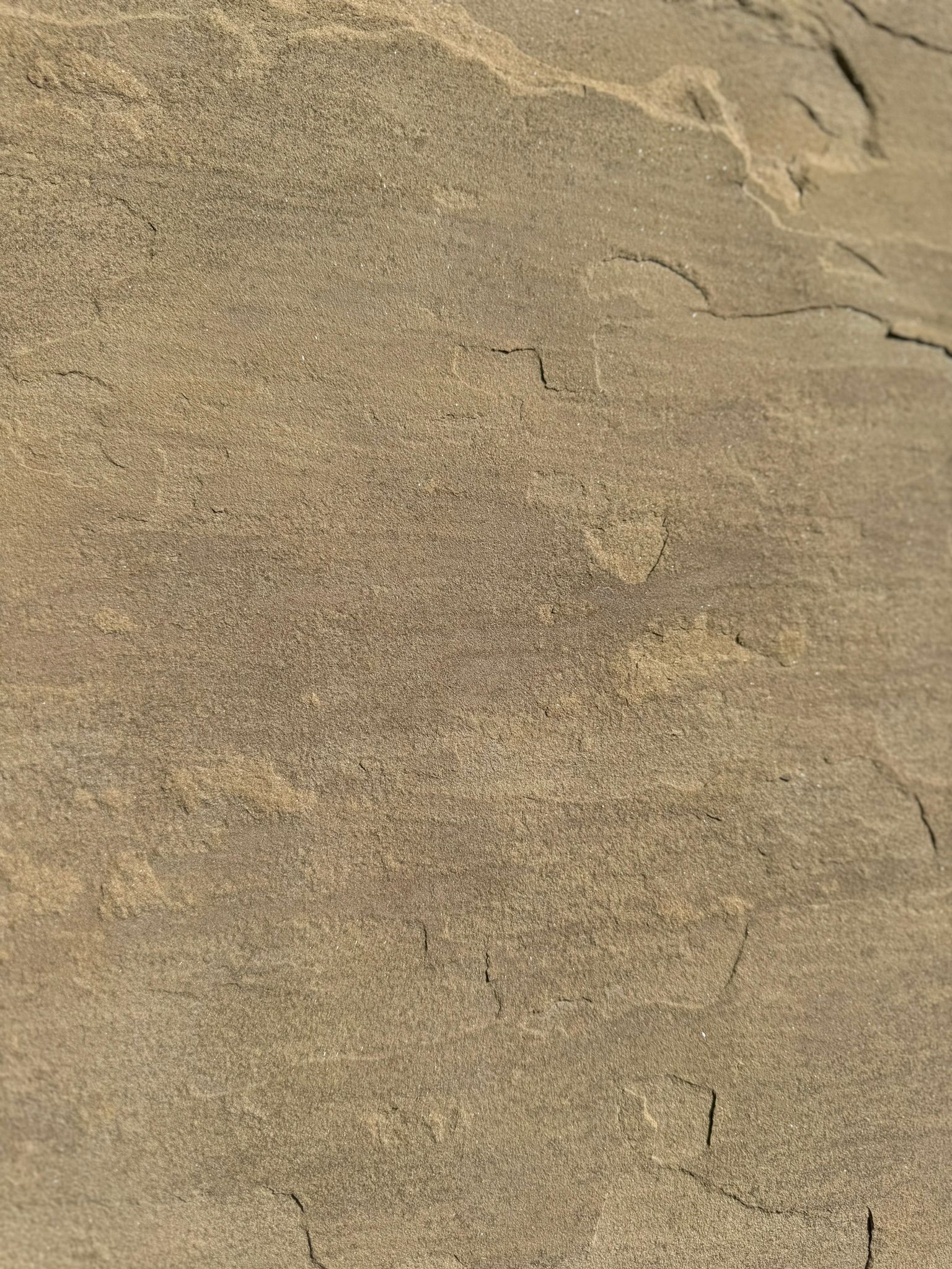 A close up of a sandy surface with a grainy texture.