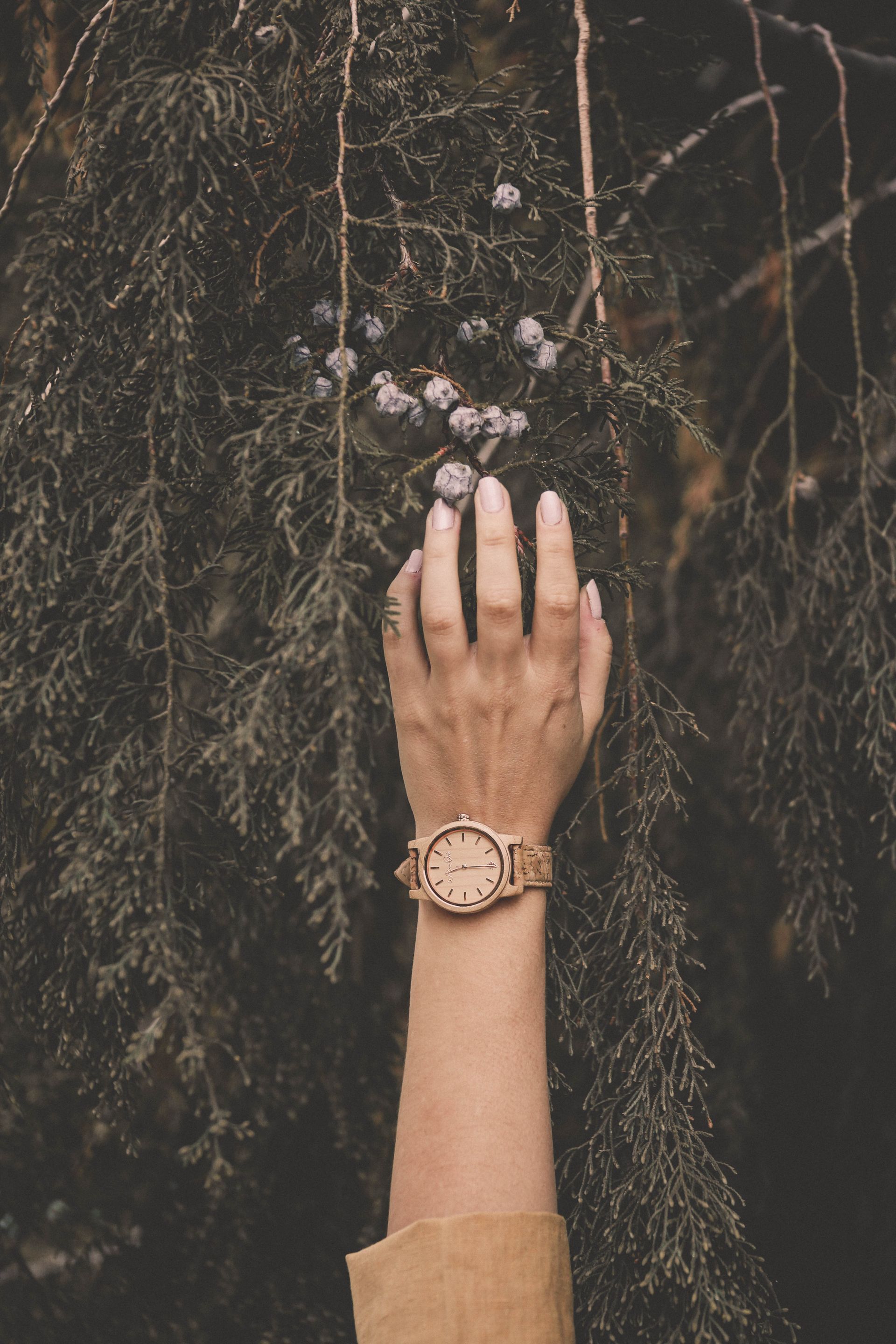 Una mano con un reloj toca la corteza oscura de un árbol y pequeñas flores pálidas.
