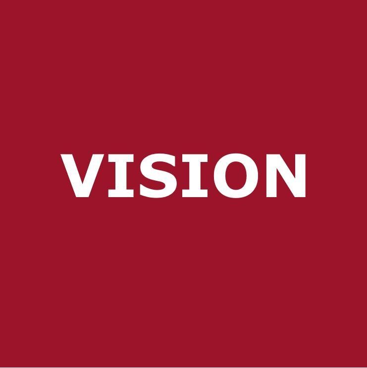 Vision