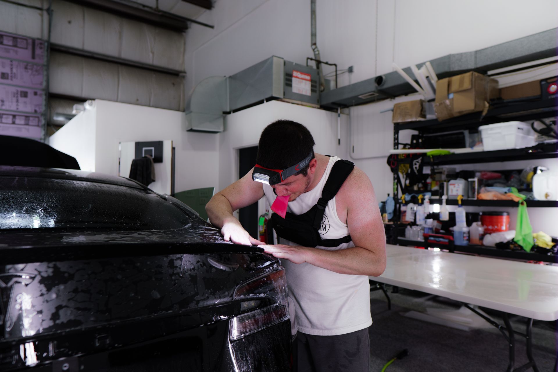 Model S Plaid PPF Application