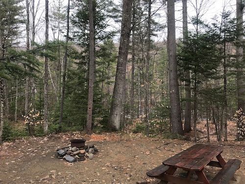 A picnic table and a fire pit in the middle of a forest.