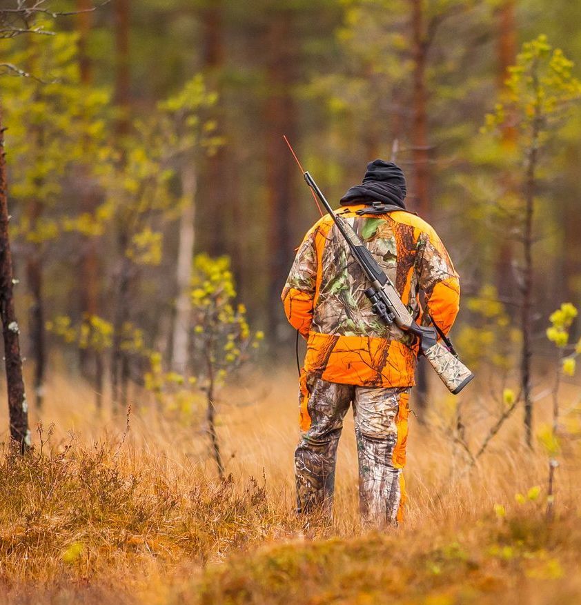 A hunter with a rifle on his back is walking through the woods