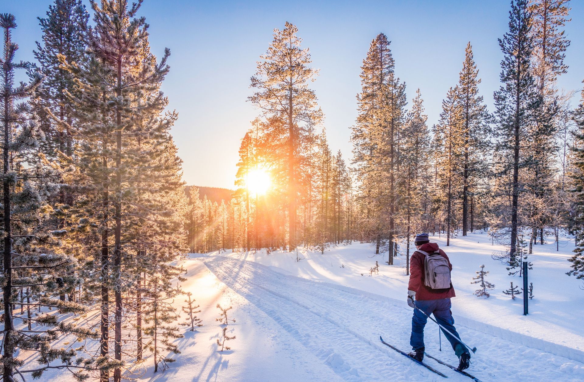 A man is skiing down a snow covered path in the woods.