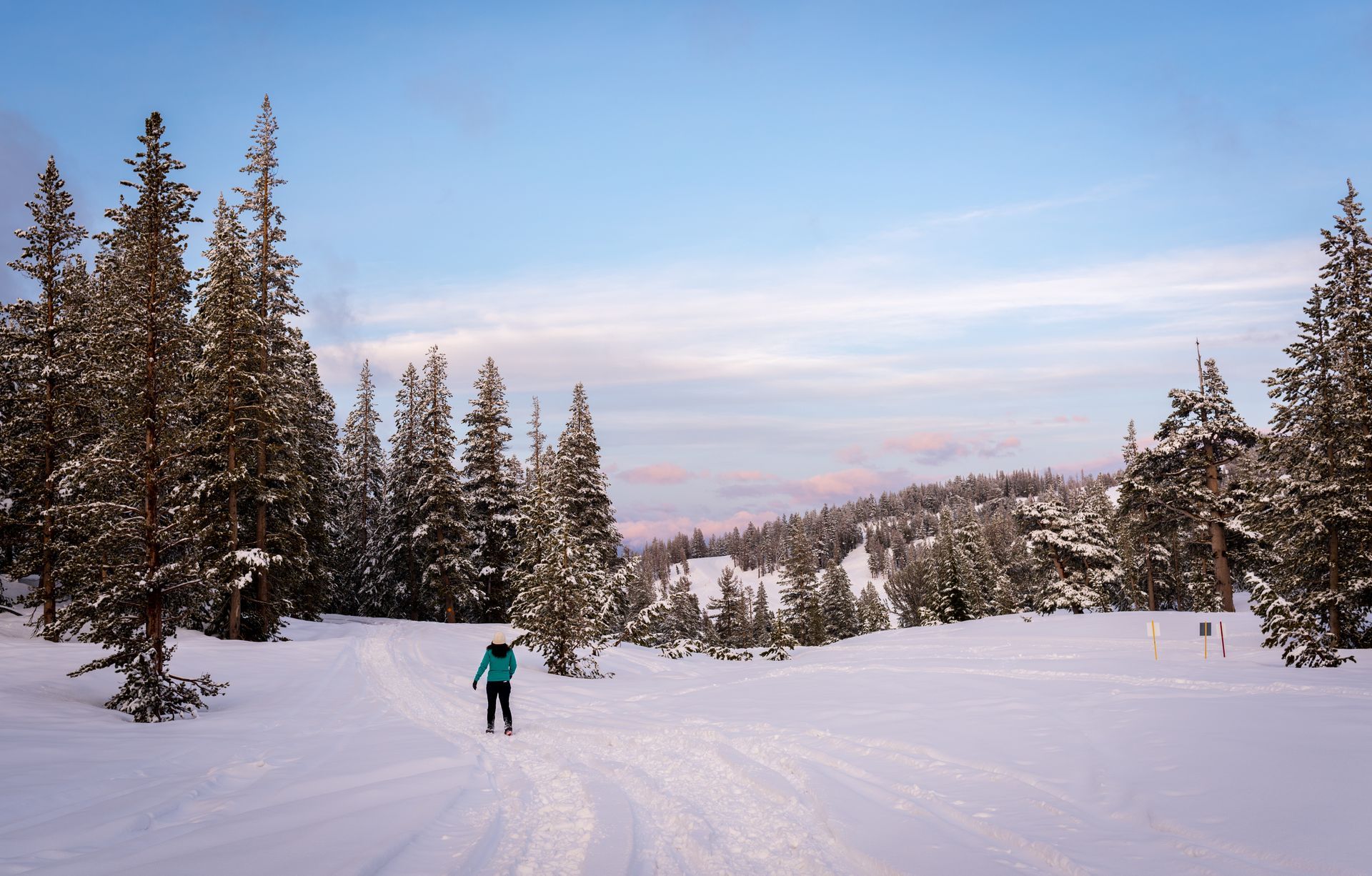 A person is cross country skiing on a snowy trail in the woods.
