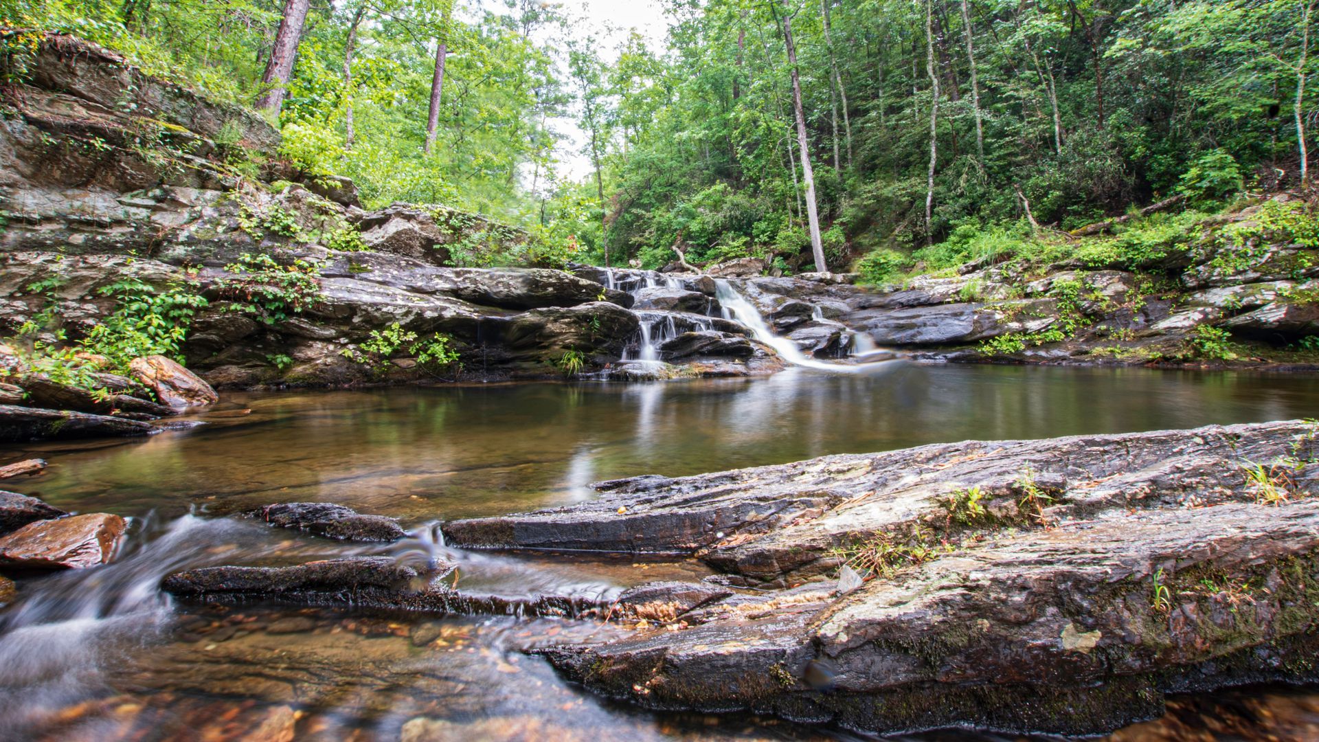 A small waterfall in the middle of a forest surrounded by rocks and trees.
