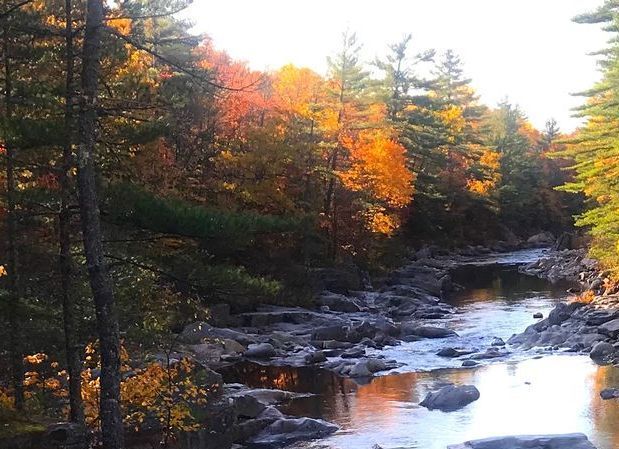 A river in the middle of a forest with trees changing colors