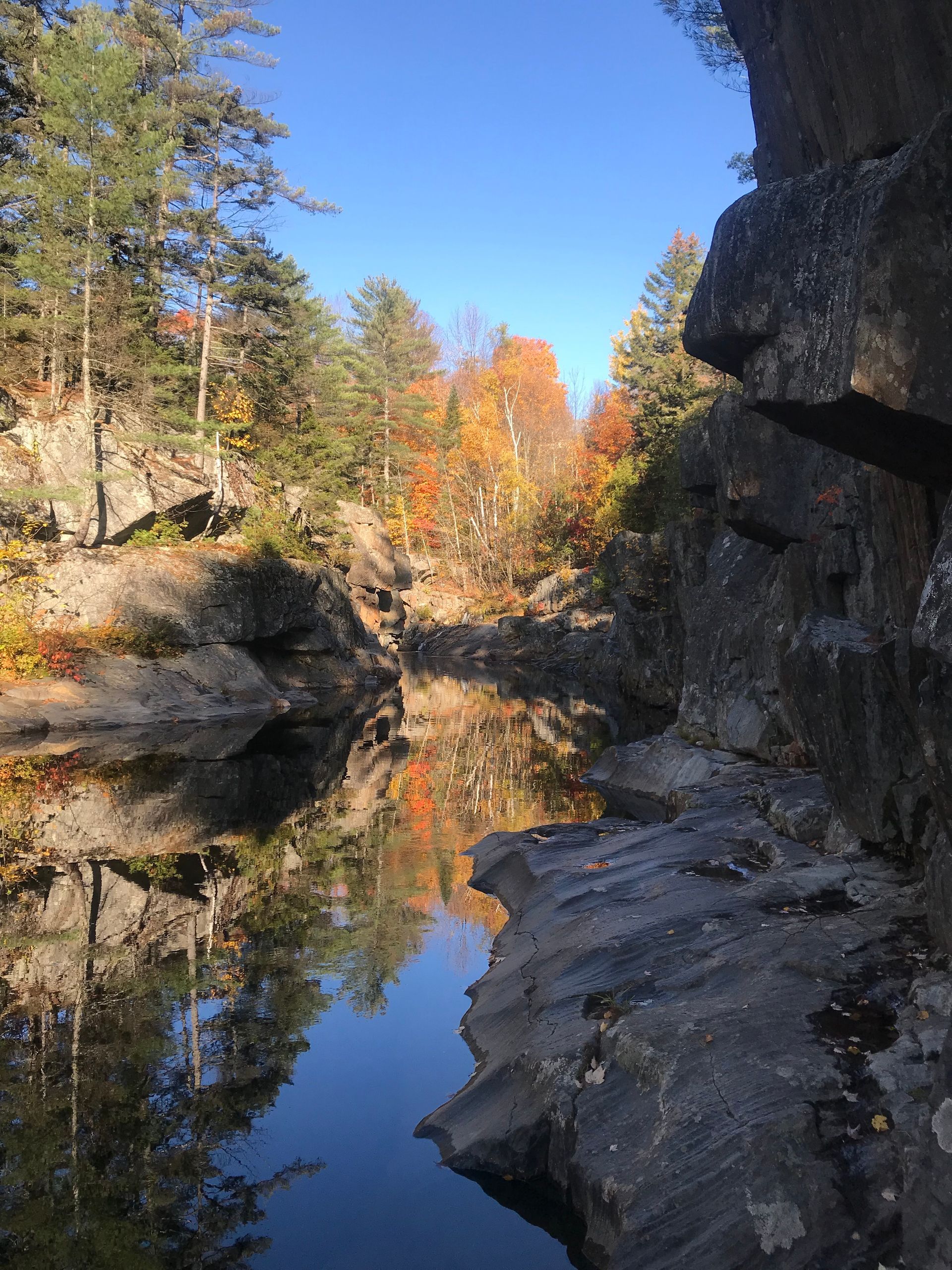 A river surrounded by rocks and trees on a sunny day