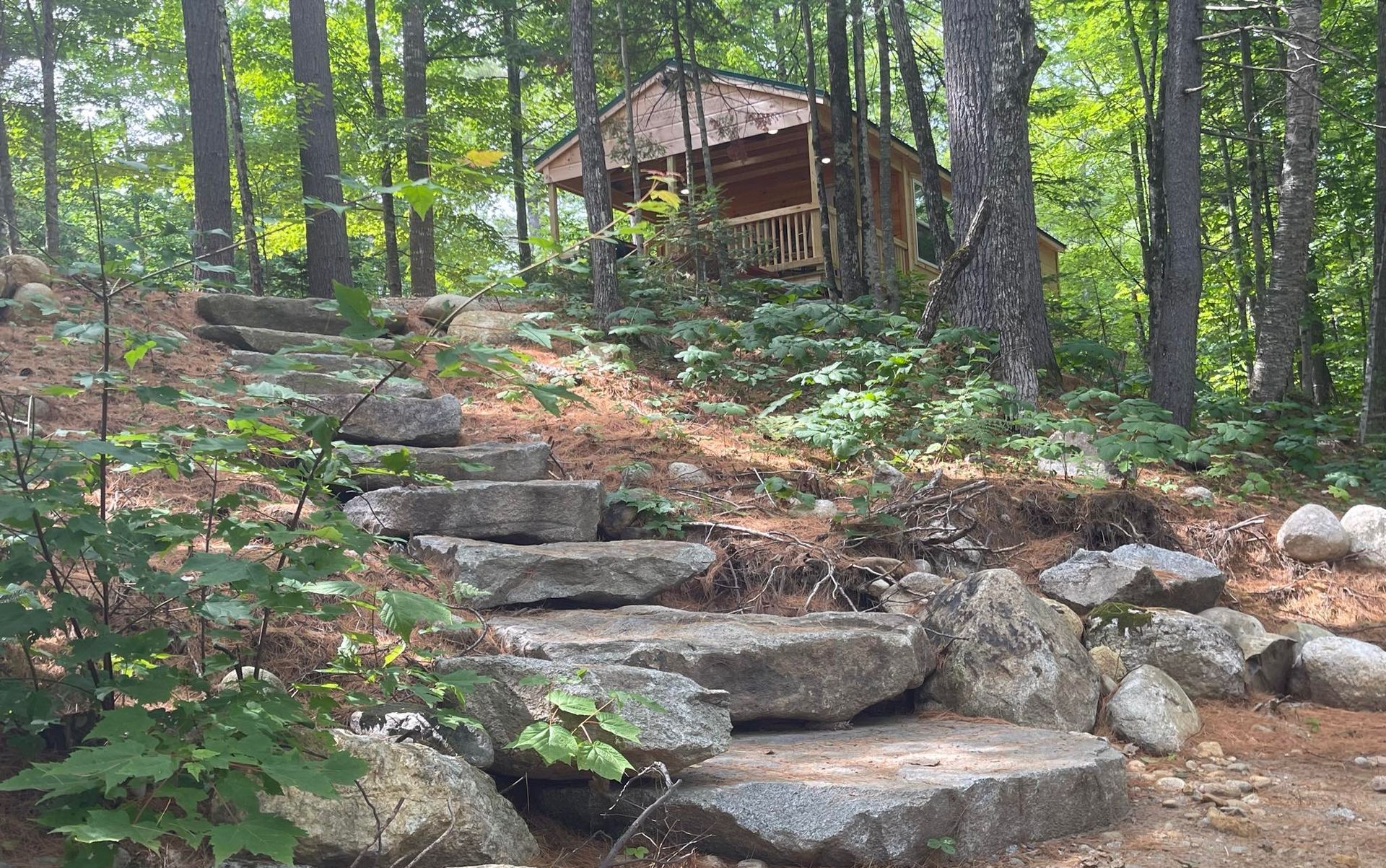 A log cabin in the middle of a forest with stairs leading up to it.