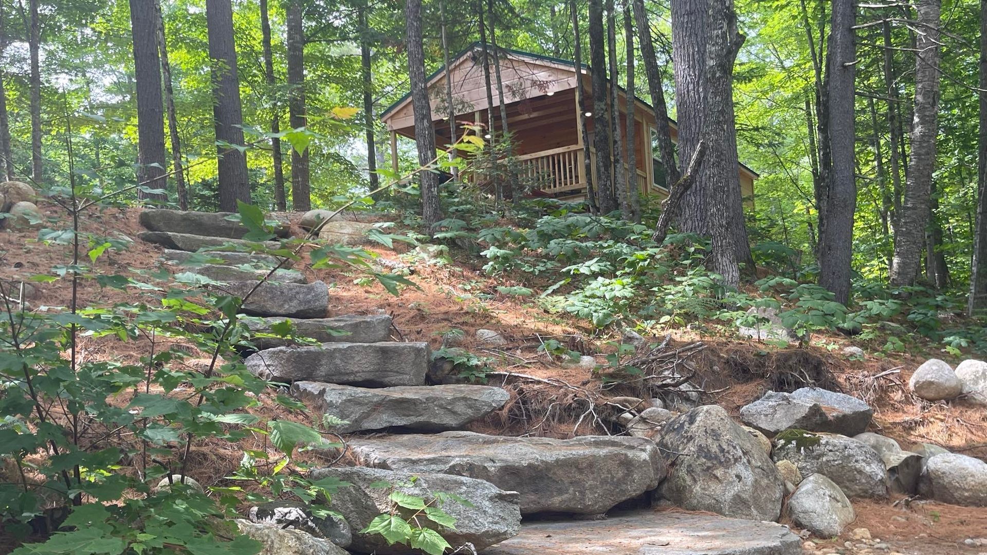 A cabin in the middle of a forest with stairs leading up to it.