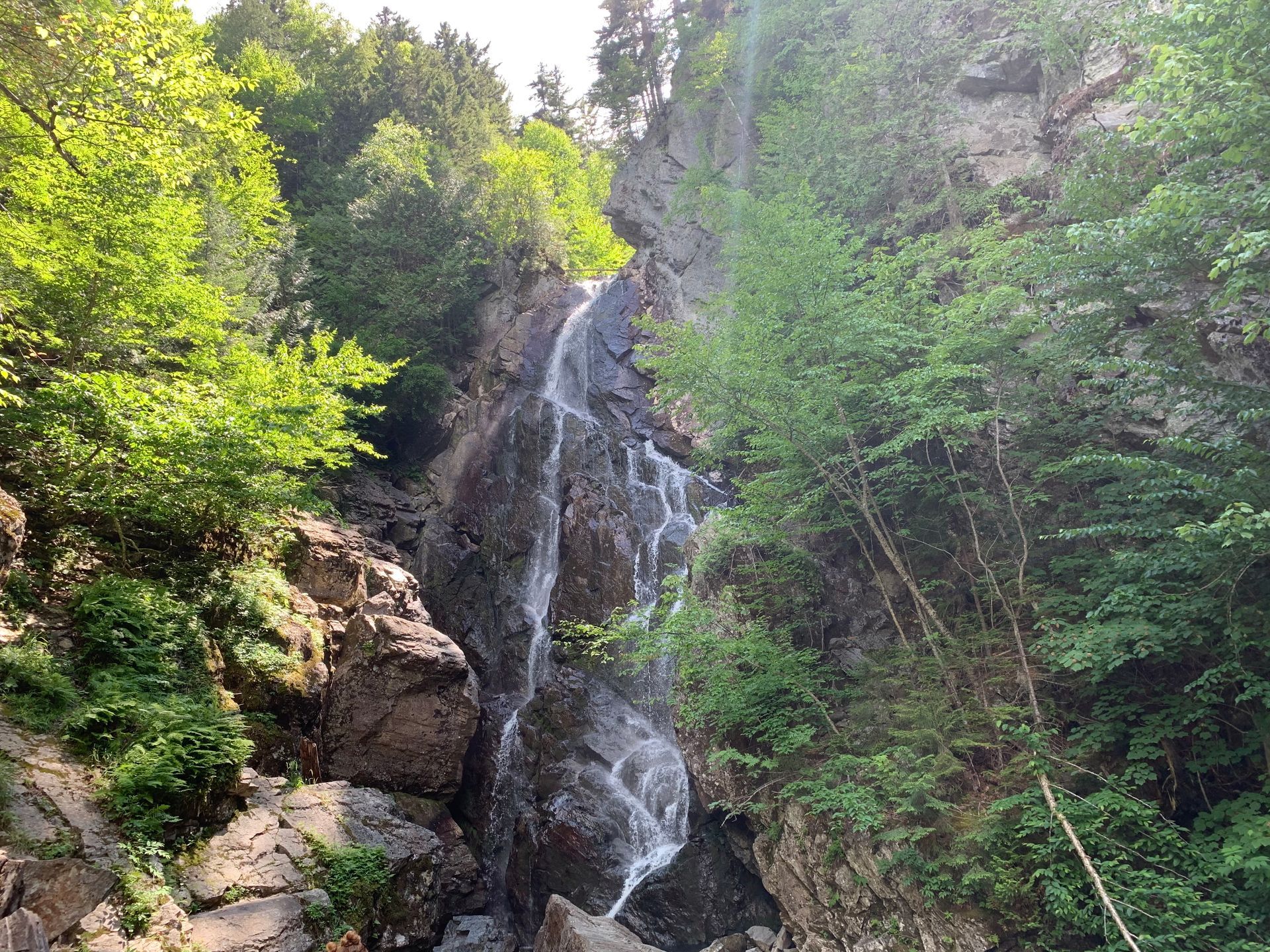 A waterfall is surrounded by trees and rocks in the middle of a forest.