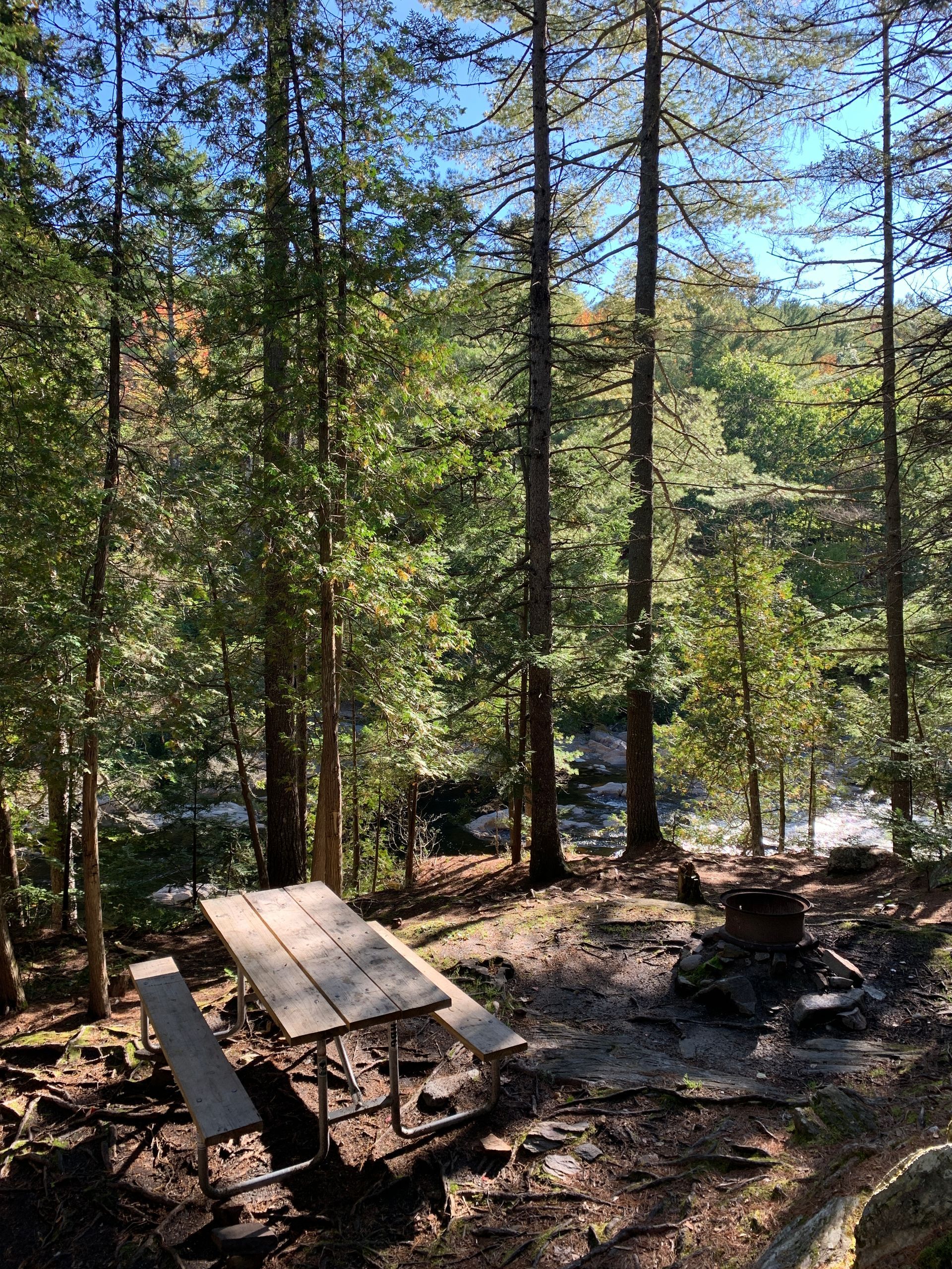 There is a picnic table in the middle of the woods.