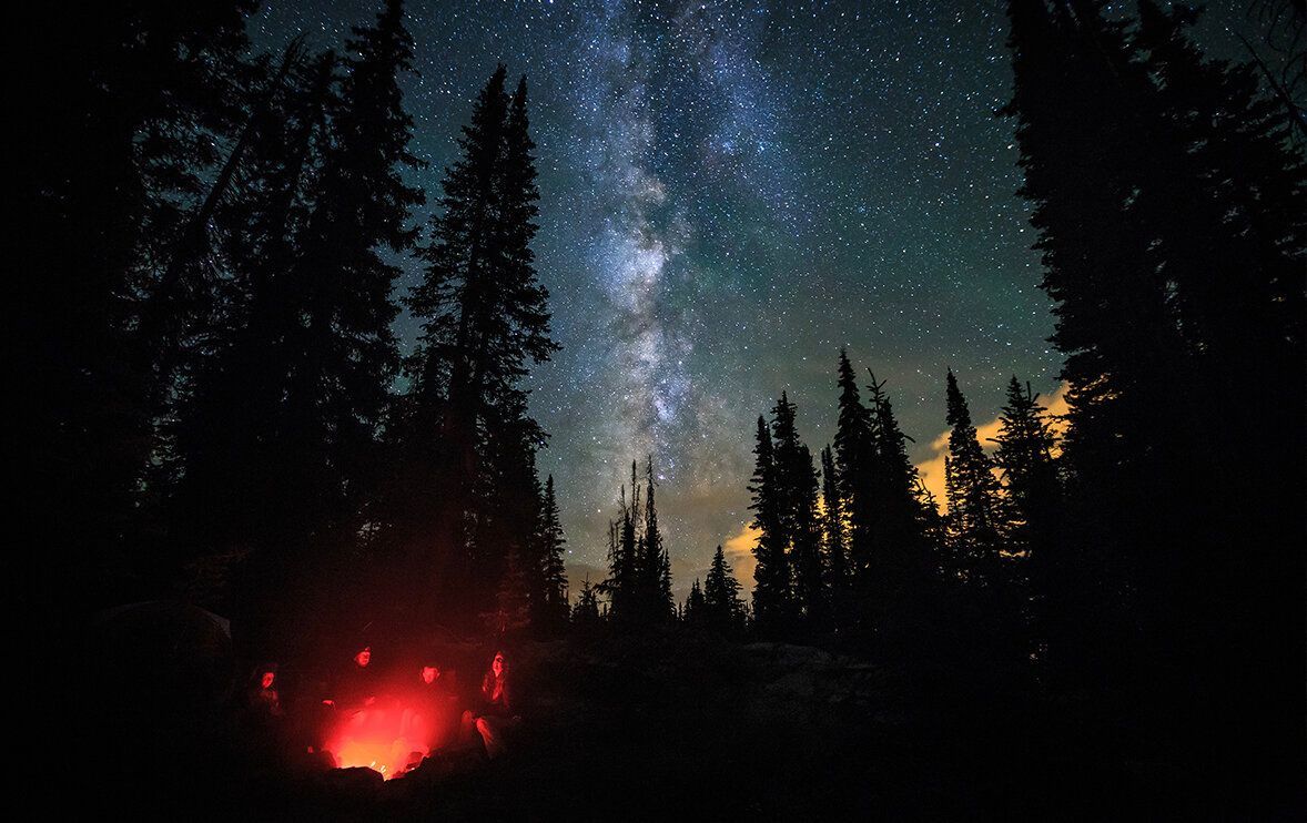 A campfire in the middle of a forest at night under a starry sky.