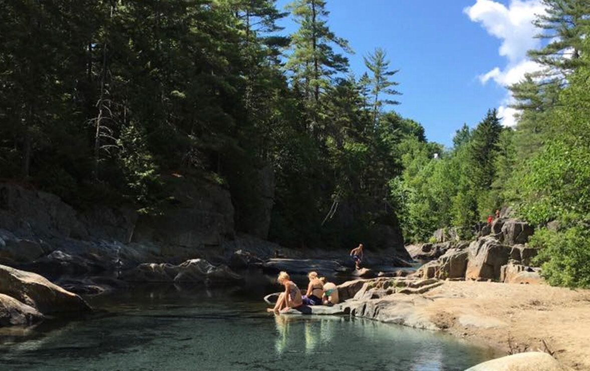 A group of people are swimming in a river surrounded by trees.