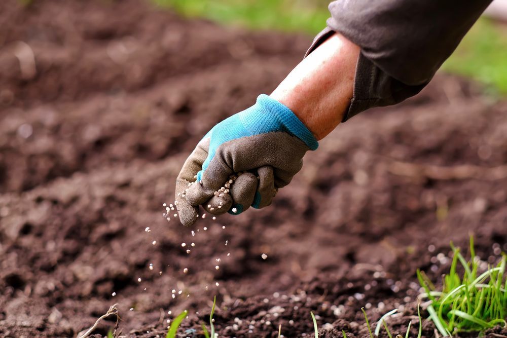 A Person is Spreading Fertilizer on the Ground — Ballina Bearing Supplies In Grafton, NSW