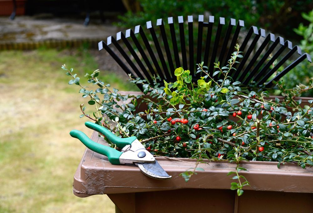 Bin Full Of Garden Waste— Illawarra Cleaning & Maintenance In Dapto, NSW