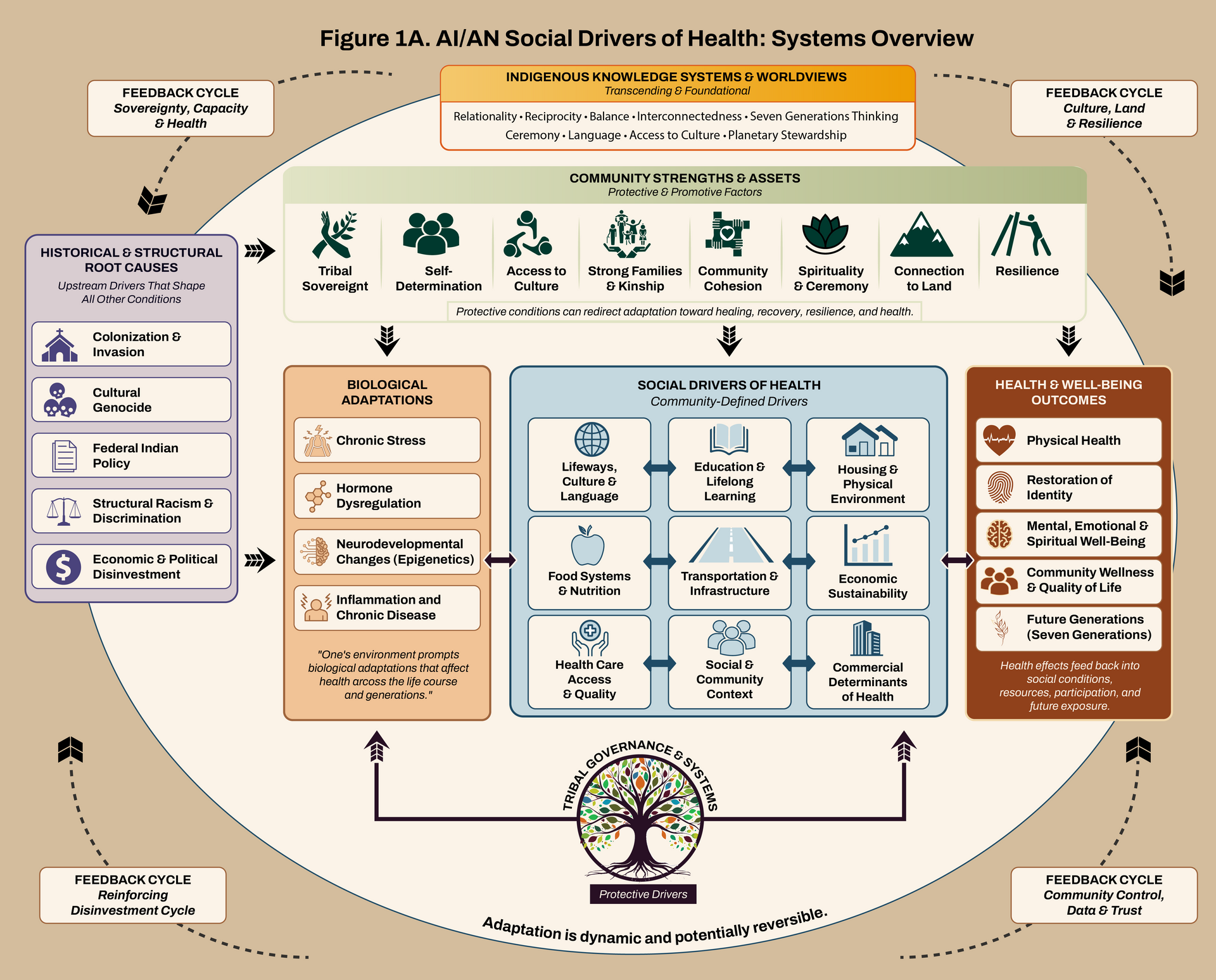 Infographic of an agroecology framework with labeled boxes, icons, and arrows connecting health and sustainability factors