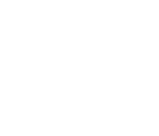 The Carter Center logo