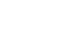 CDC Mutual Aid Network logo