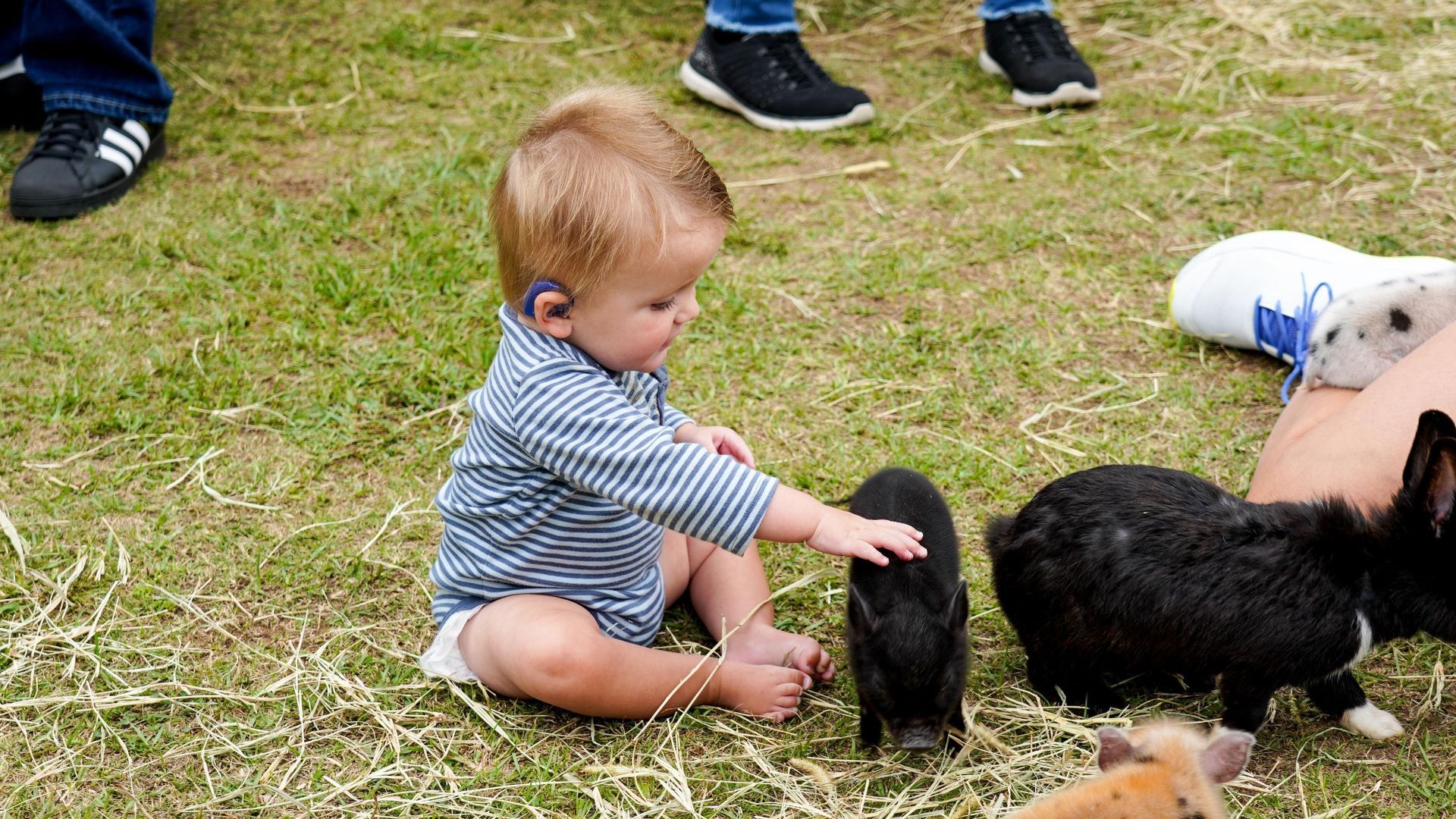Toddler in a striped romper petting a black sheep in a grassy field during a petting zoo visit