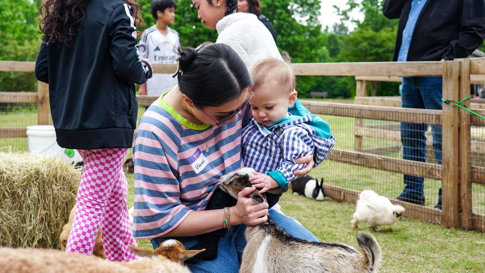 Woman holding a toddler while they pet a sheep at a farm, with other animals and visitors nearby.