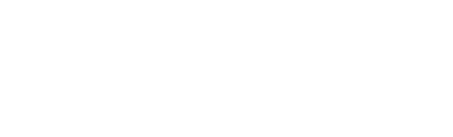 NDI national disability institute logo