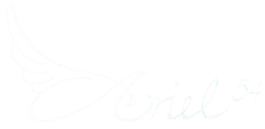logo ariel54
