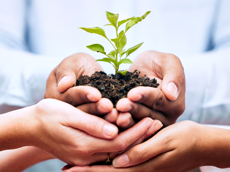 EnergyTech Advisors and businesses working together
