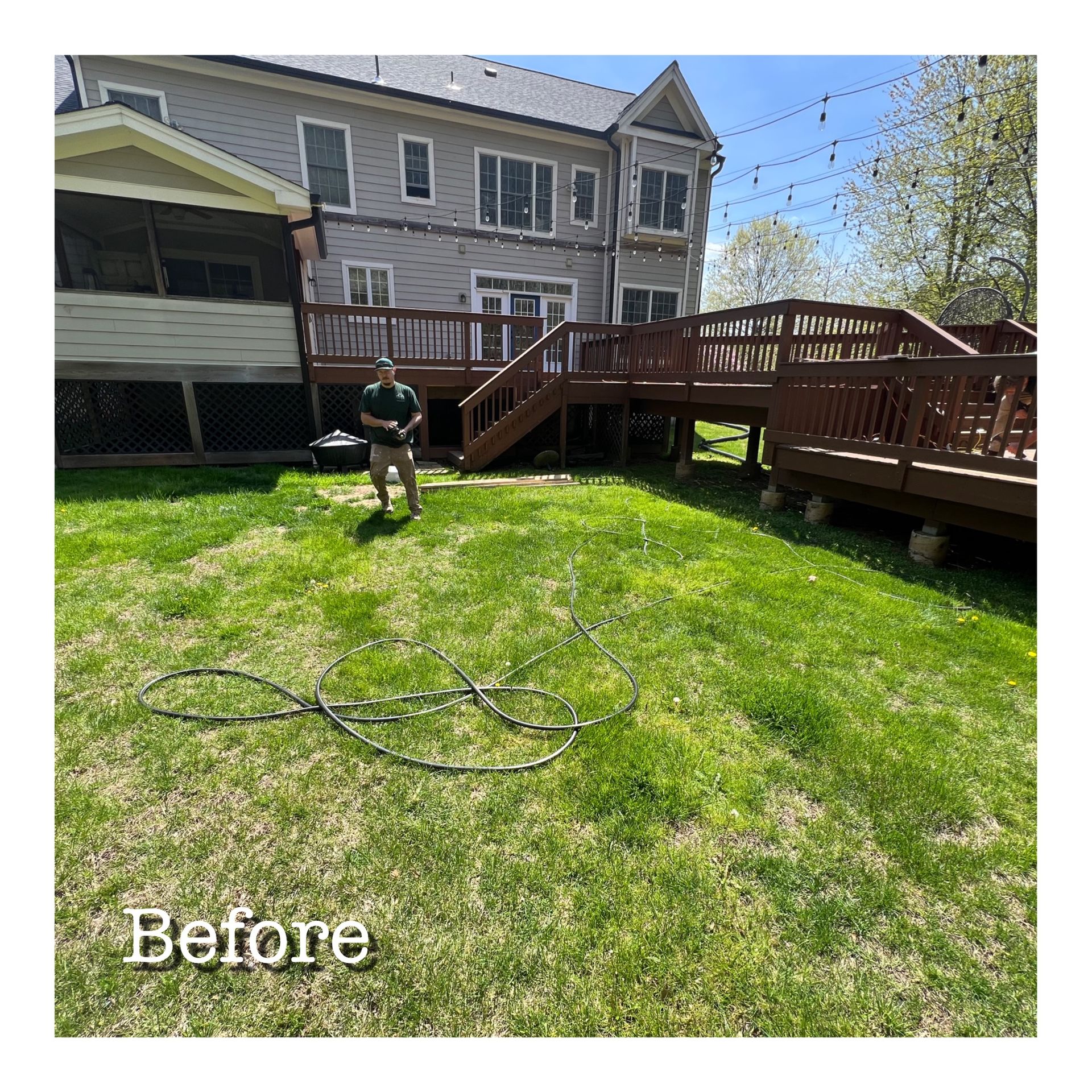 A man is watering a lush green lawn in front of a house.
