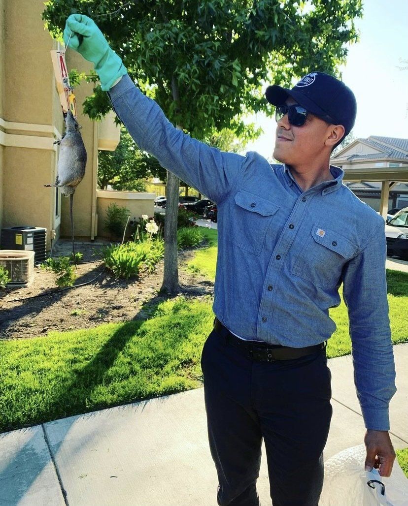 A man in a blue shirt is holding a fish in his hand