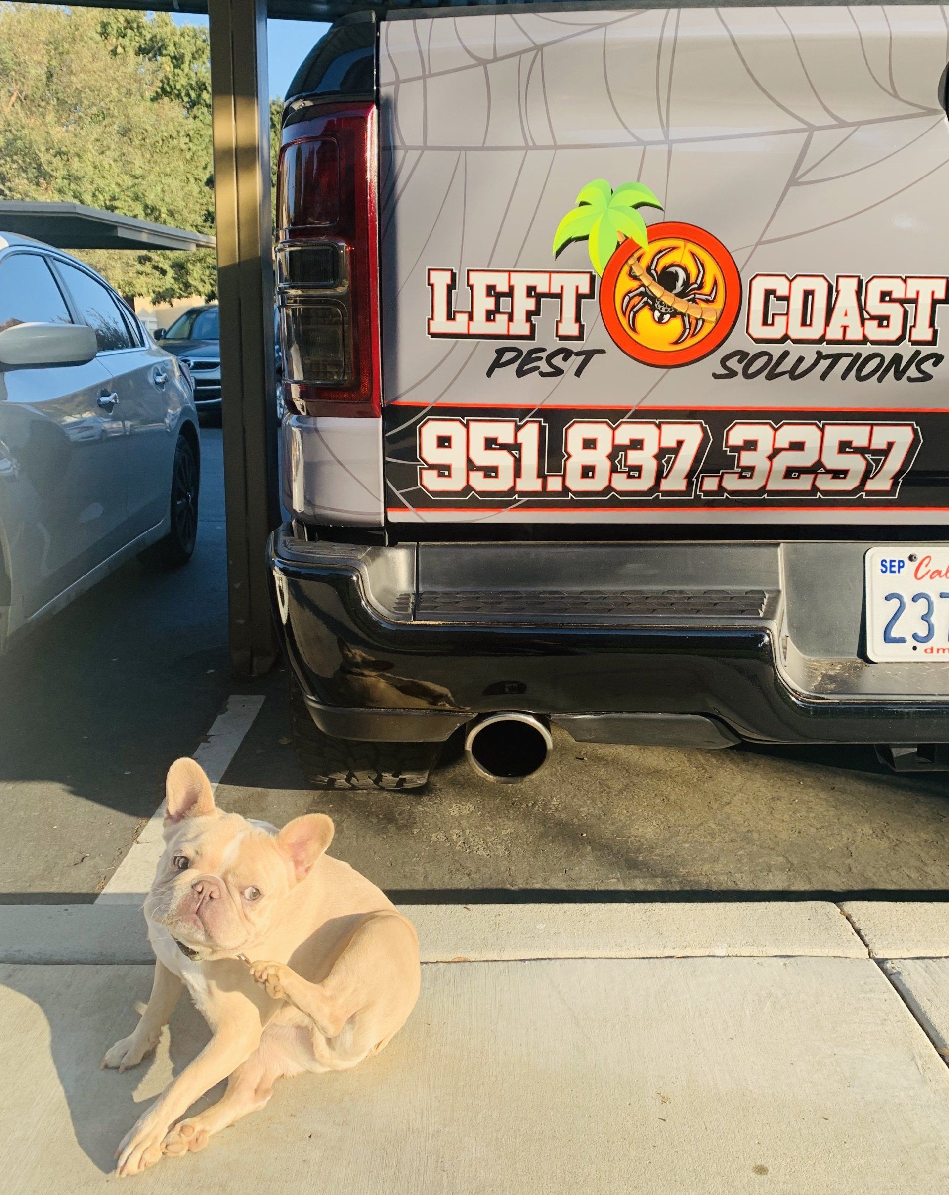 A dog is laying in front of a truck that says left coast pest solutions