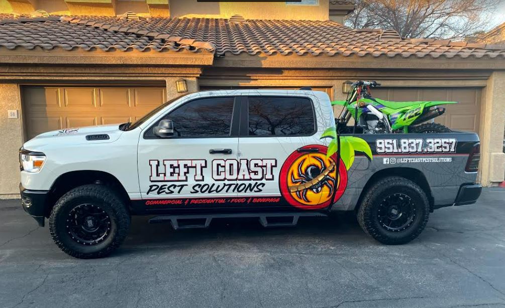 A white truck with a green dirt bike in the back is parked in front of a house.
