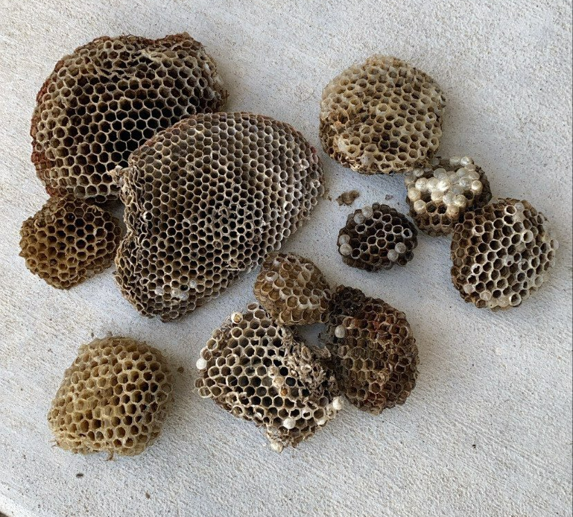 A bunch of beehives on a white surface