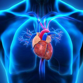 cardiologo