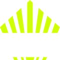 Yellow geometric crown over the letters "RTC", logo for RISE Training Club in Highland, MI