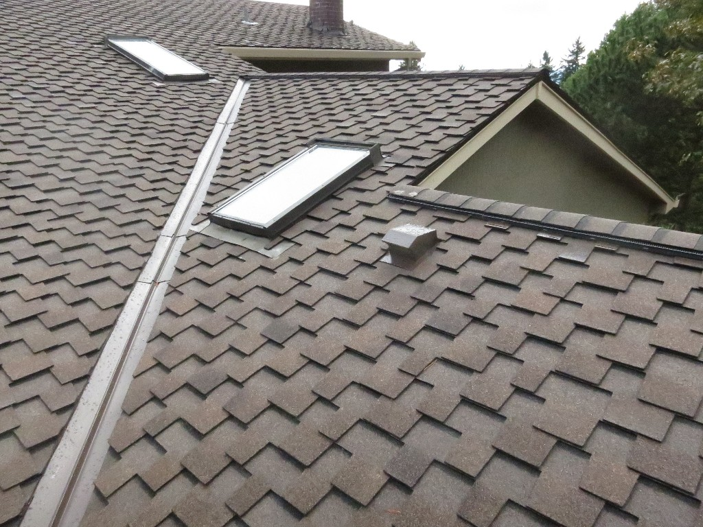 Roof Replacement Services Georgia