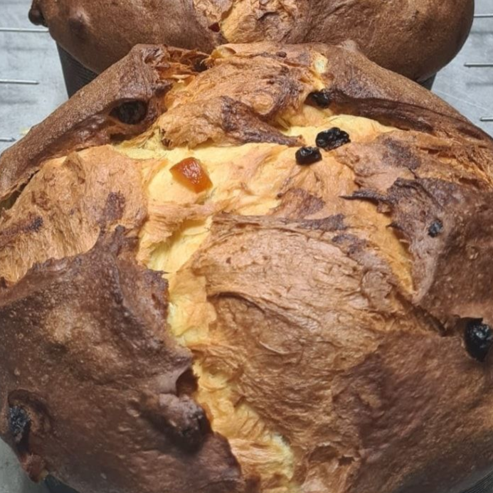 Pasticceria Bruno - panettoni - foto 2