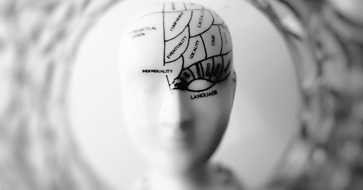Grayscale close-up of a mannequin head with a brain diagram overlay and the word “Language” on the forehead