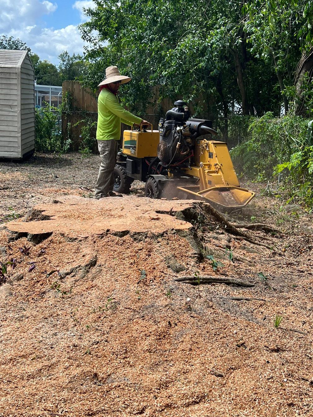 A man is using a stump grinder to remove a tree stump.