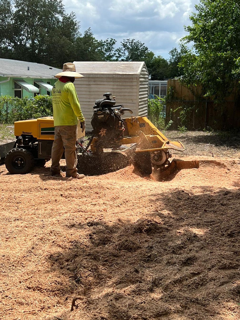 A man is using a stump grinder to remove a tree stump.