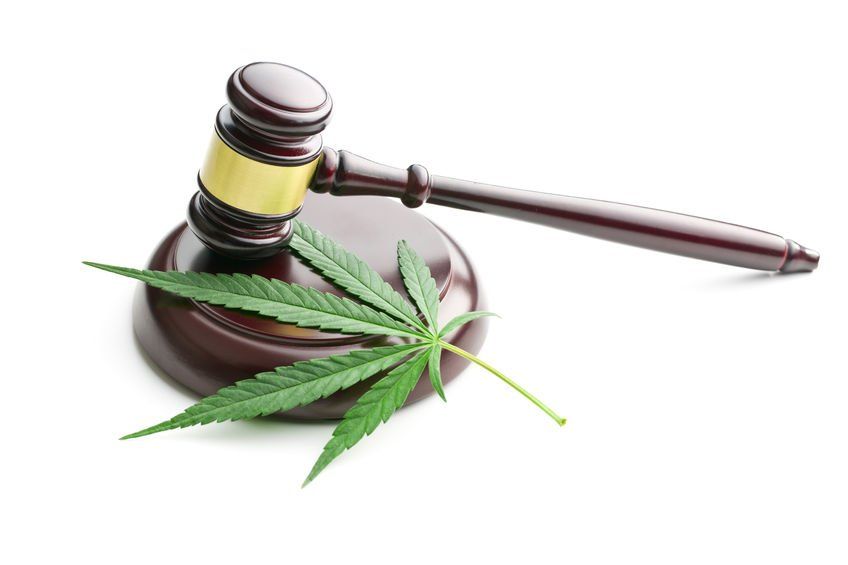 A gavel with a marijuana leaf