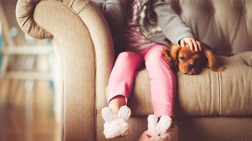 A little girl is sitting on a couch with a puppy.