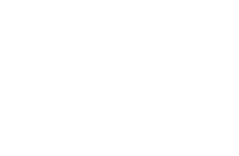 logo-image